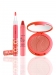 tarte cosmetics gifts from the lipstick tree achiote color collection -