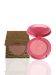 tarte cosmetics blush & bronze on the go -